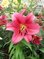 [5209 Redford Mak No02.JPG]